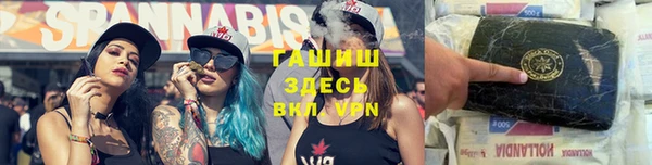 молекула духа Алексин