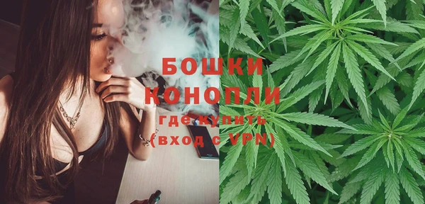 хмурый Абаза