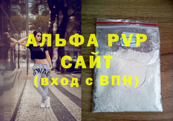 хмурый Абаза